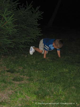 IMG_0952