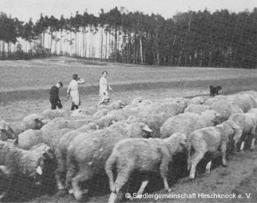 Schaftrieb am Rennsteig (1933)